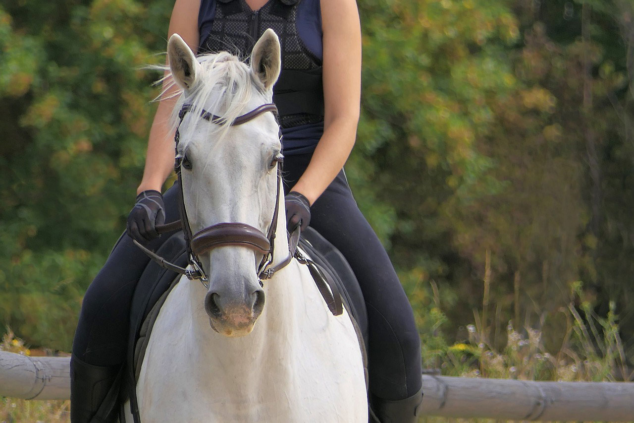 Balade à cheval