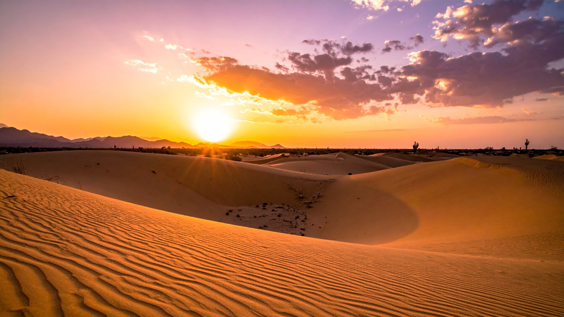 Dune