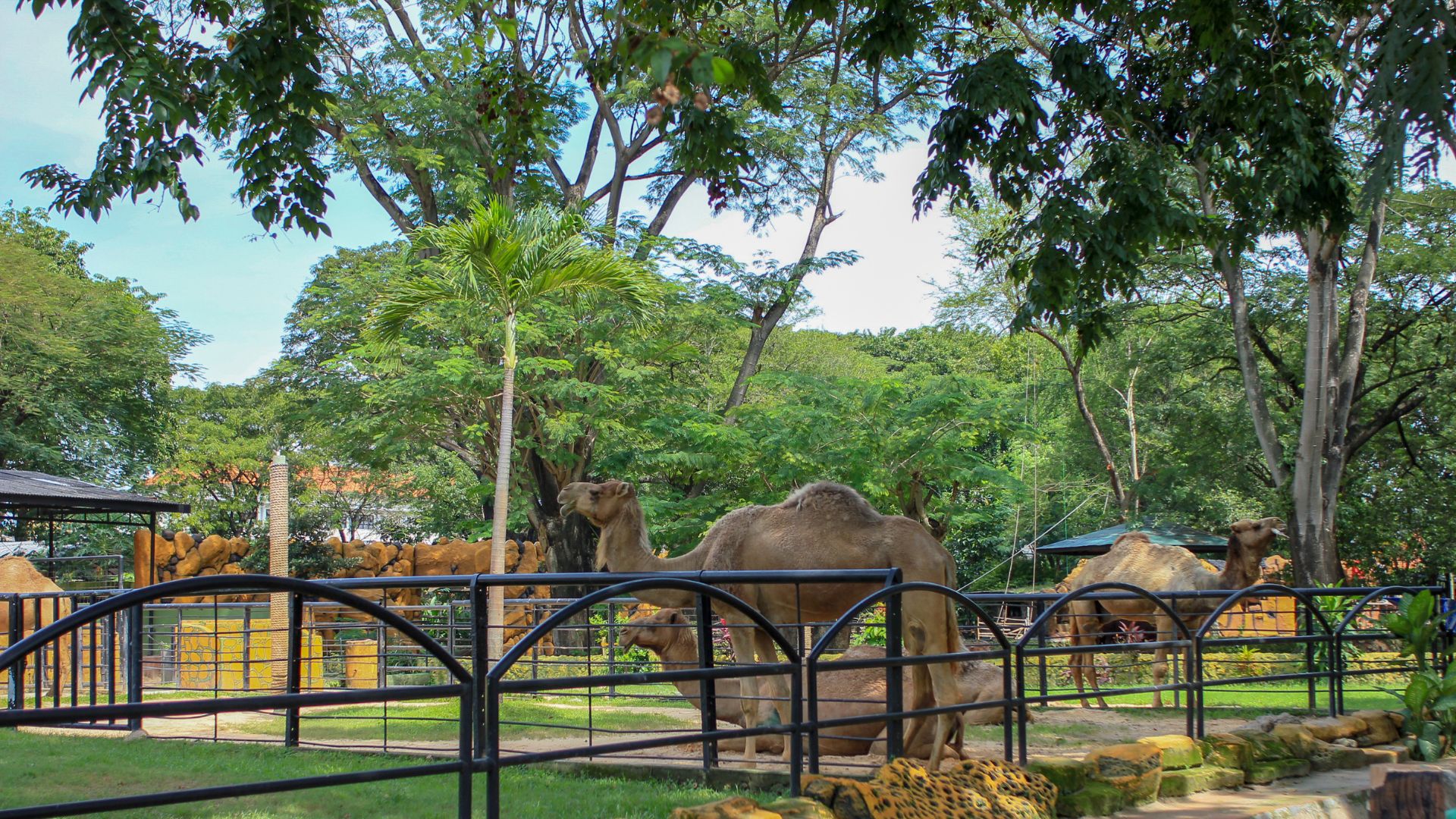 Zoo
